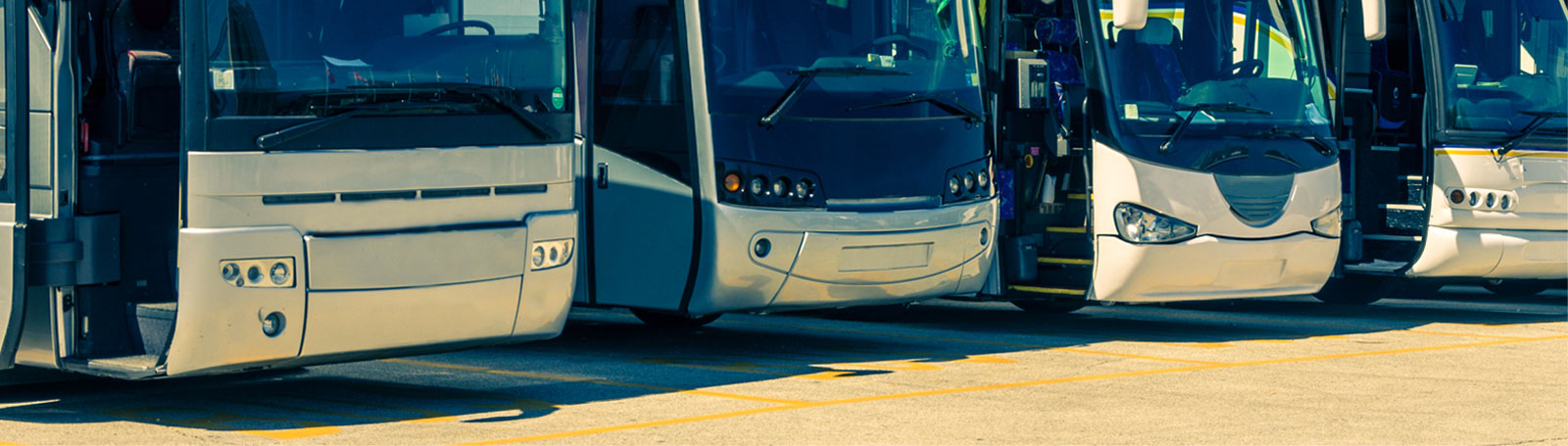 Bus Passenger rights